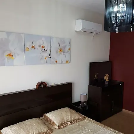 Polinas House