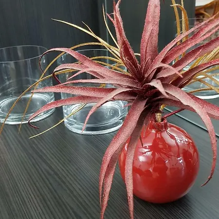 Apartment Polinas House